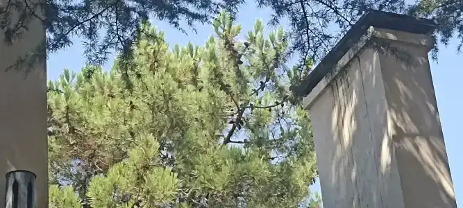 Baza Otdykha Adler - 35