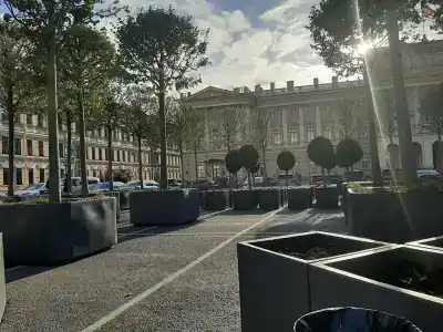 Дельта Невы - 74