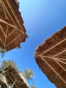 Iberotel Palace - Adults Only 16+ - 41