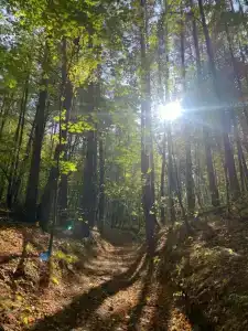 Baza Otdykha Monte-Karlo - 16