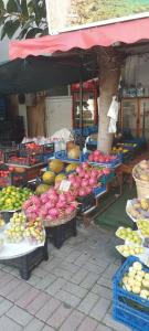 Kleopatra Beach - All Inclusive - 39