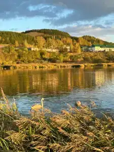 Sanatorium Bakirovo - 58