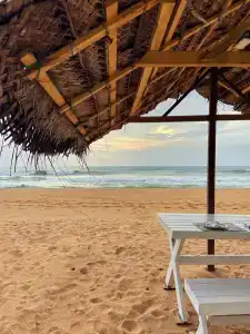 Pandanus Beach Resort & Spa - 38