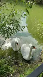 Eco Park Tourist base - 95