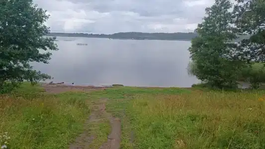 Nordic - 41