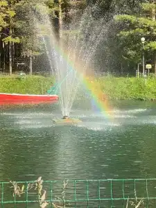 Sanatorium Bakirovo - 95