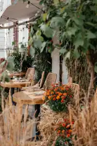 Chekhoff Moscow Curio Collection by Hilton - 36