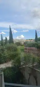 A.Roma Lifestyle - 5