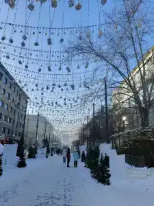 Центральная - 99