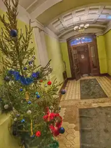 Демократ на Некрасова 58 - 20