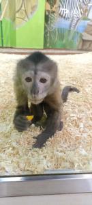 Gostinichnyij Kompleks 7 I Ya - 15