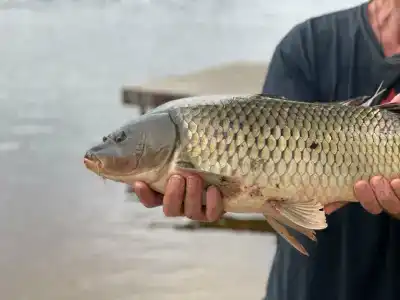 Prirodno- Yuhro Tourist base - 30