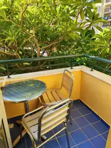 Kleopatra Dreams Beach - 31