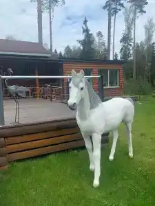 Neptun Tourist base - 45