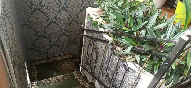Guest House Crocus - 3