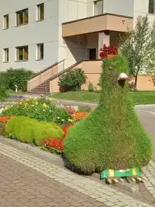 Kedrovyy Log - 23