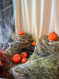 Novotel Arkhangelsk - 86