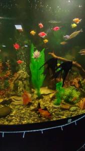 МАРИНАМОЛЛ - 39