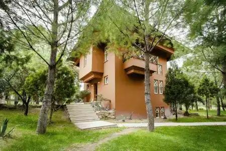 Polat Thermal - 1