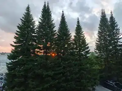 Бизнес Абникум - 51