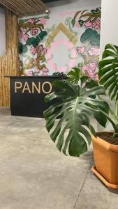 Pano - 6