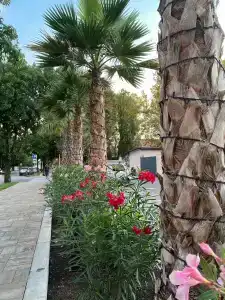 Grand & Spa Priboy - 46