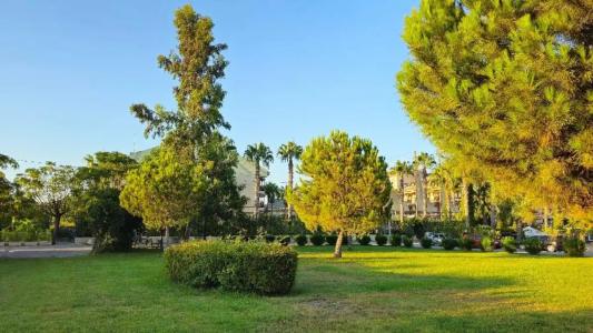 Club Side Coast - 38