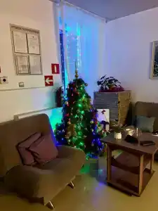 Муниципальное унитарное предприятие Сковородинского района Гостиничный комплекс - 16