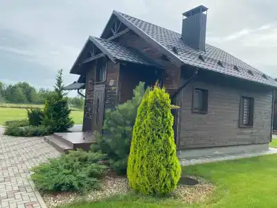 Камыши база отдыха - 20