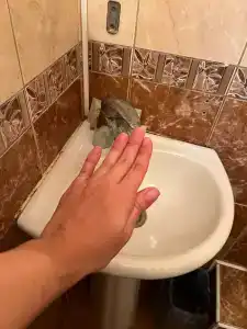 Tihaya Gavan Tourist base - 57