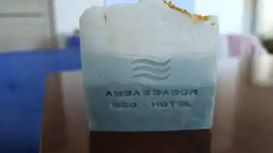Ambassador - 85