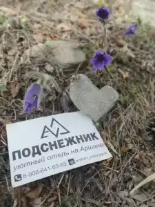 Уютный отель "Подснежник" - 37
