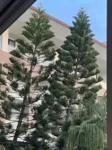 DoubleTree by Hilton Antalya-Kemer All-Inclusive Resort - 81