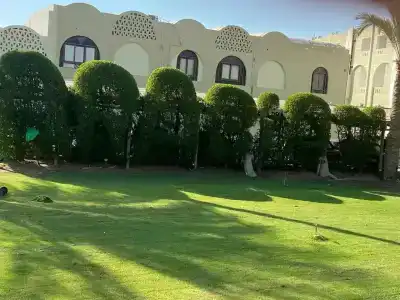 Arabia Azur Resort - All Inclusive - 40