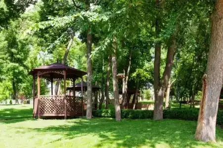 Nadezhda Park-Hotel - 16