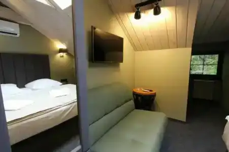 Wellion Baumansky - 34