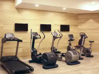 Novotel Moscow Sheremetyevo Airport - 18