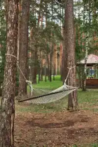 Ostrov Sokrovisch - 31