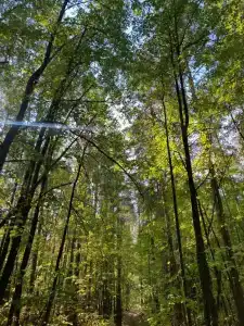 Baza Otdykha Monte-Karlo - 15