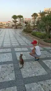 Pharaoh Azur Resort - 49