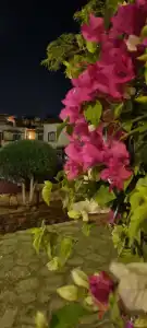 Tamra Beach Resort - 23