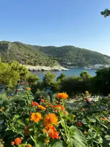 Pugnochiuso Resort - Degli Ulivi - 14