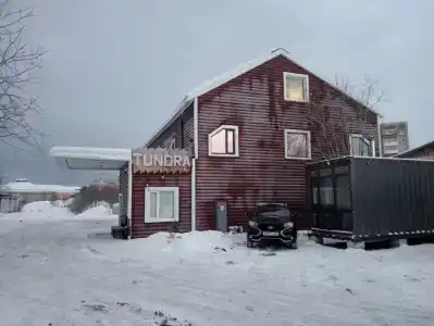 Tundra - 85