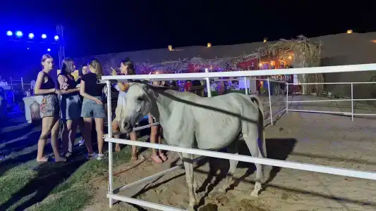 Xanadu Club Makadi Bay - 38