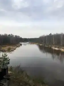 Orehovo Les - 90