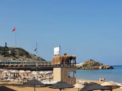 Acapulco Resort - 43