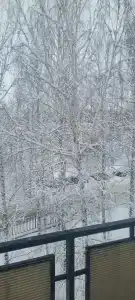 Sanatorium-profilaktoriy Zhemchuzhina - 45