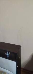 Syurpriz Na Yablochkova 31Zh - 23