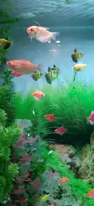 Бутик Евразия - 16