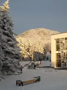 Salut Sanatorium - 43